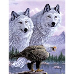 3 Boyutlu Resim  Kartallı Kurt Resmi Tablosu 40x60 Cm